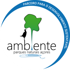 Ambiente