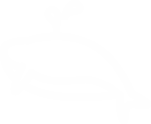 Botão Mar